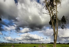 法媒：尤文希望买断穆阿尼，如无意外他下赛季不会回归巴黎.