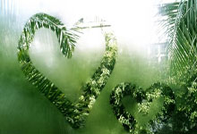 亚博体育官网：[CBA]常规赛1月24日：广东VS广州 徐杰集锦.