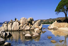 亚博体育官网：古蒂：哈维-阿隆索是安切洛蒂的接替者，皇马会给他机会的.